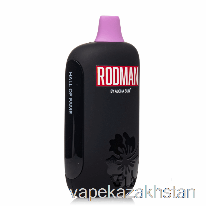 Vape Disposable RODMAN 9100 Disposable Hall of Fame